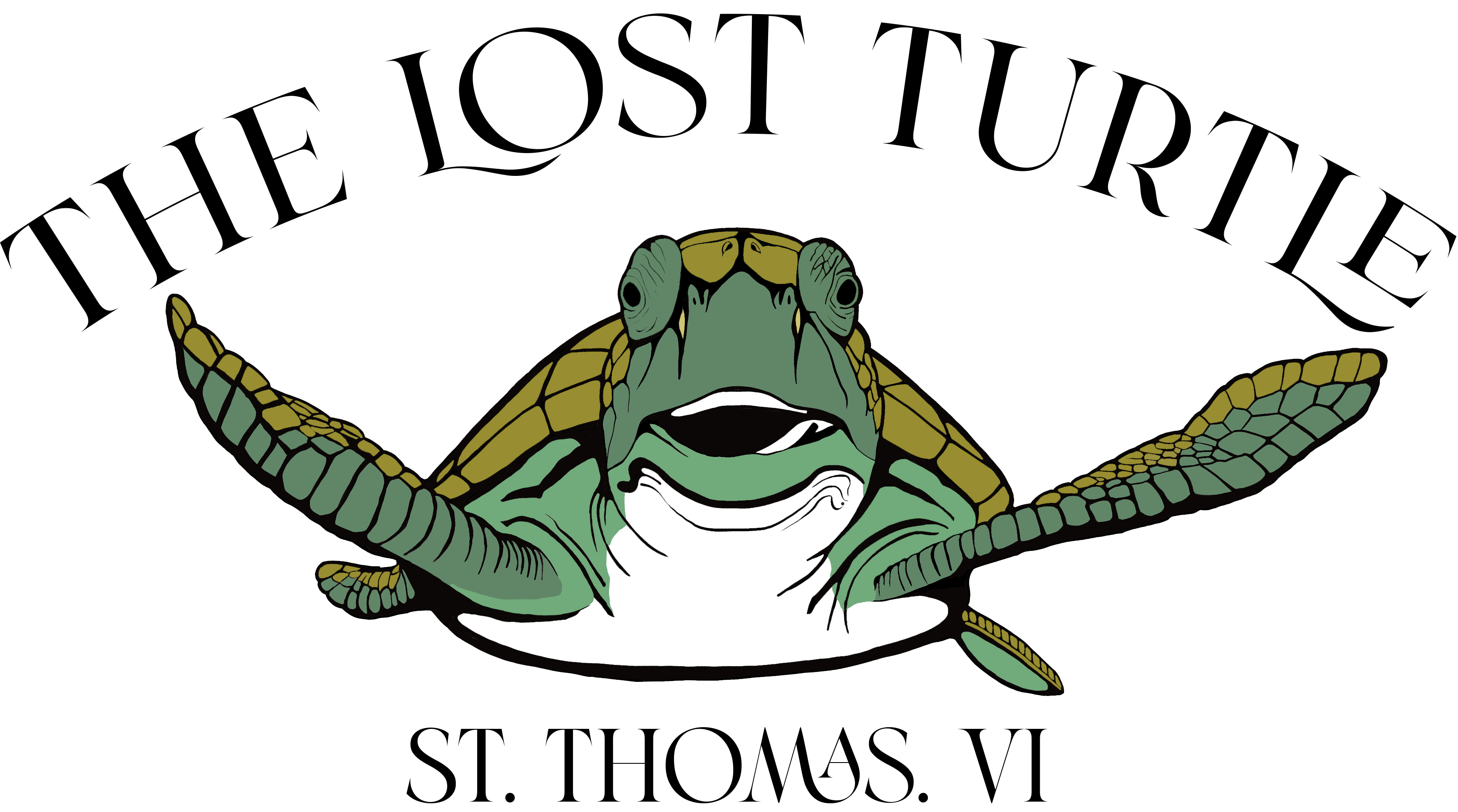 The Lost Turtle