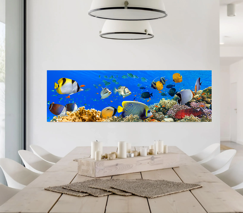 Tropical Fish Pano